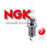 NGK Spark Plugs